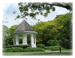Singapore Botanical Garden